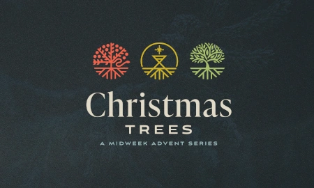 Christmas Trees - A Midweek Advent Series